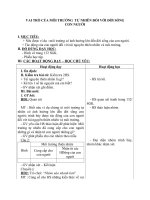 Giáo án bài Vai trò của MT tự nhiên đối với ĐS con người - Khoa học 5 - GV:L.N.Tân: