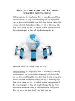 LÝ DO MOBILE MARKETING ĐƯỢC ƯA CHUỘNG doc