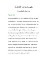 Bệnh khối u tế bào -Lympho Lympho Iridovirus pptx