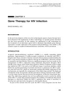 gene therapy for hiv infection