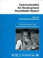 ninth united nations roundtable on communication for development pptx