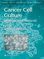 cancer cell culture, methods and protocols
