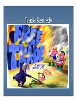 Các biện pháp khắc phục thương mại pot