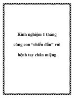 Kinh nghiệm 1 tháng cùng con “chiến đấu” với bệnh tay chân miệng pdf