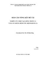 nghiên cứu chọn tạo giống thuốc lá vàng sấy kháng bệnh tmv (bệnh khảm lá)