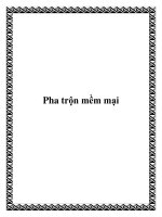 Pha trộn mềm mại pot