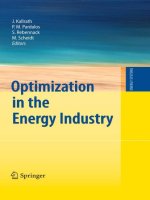 optimization in the energy industry (energy systems)