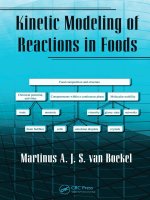 kinetic modeling of reactions in foods