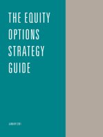 the equity options strategy guide