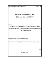 Nghiên cứu sản xuất văcxin cúm a h1n1 trên tế bào vero và tế bào phôi gà một lớp