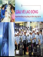 Bài giảng môn kinh tế lao động - Cầu về lao động của thầy Vũ Thanh Liêm