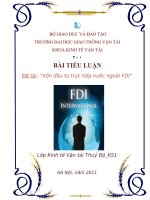 Vốn đầu tư trực tiếp nước ngoài FDI