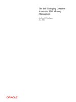 oracle database 10g - automatic sga memory management