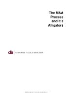 CFA+M&A process   e&y (Nghiệp vụ định giá doanh nghiệp của E&Y)