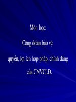 Bài giảng môn Công đoàn bảo vệ quyền, lợi ích hợp pháp, chính đáng của CNVCLĐ