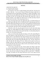 Dự án cải tạo và phục hồi môi trường sau khai thác công trình khai thác mỏ sắt Hoan tại xã Cây Thị, huyện Đồng Hỷ, tỉnh Thái Nguyên ppt