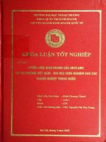 Chiến lược kinh doanh của Oriflame tại thị trường Việt Nam. Bài học kinh nghiệm cho các doanh nghiệp trong nước