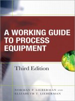 working guide to process equipment