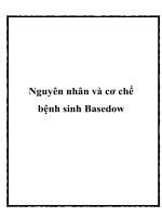 Nguyên nhân và cơ chế bệnh sinh Basedow pptx