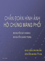 Chuẩn đoán hình ảnh hội chứng màng phổi pdf