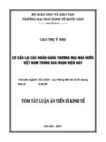 Cơ cấu lại ngân hàng thương mại nhà nước Việt Nam trong giai đoạn hiện nay