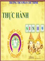Bài 26 sinh học lớp 9 Thực hành nhận biết một vài dạng đột biến
