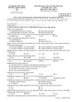 ĐỀ KIỂM TRA CHẤT LƯỢNG HỌC KÌ I MÔN HỌC: HÓA HỌC 11 TRƯỜNG THPT KRÔNG NÔ Mã đề 209 docx
