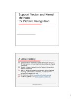 support vector and kernel methods for pattern recognition
