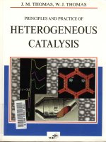 principles and practice of heterogeneous catalysis