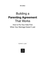 building a parenting agreement that works 6th (2007)