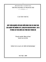 Góp phần nghiên cứu đặc điểm hình thái và sinh thái các quần thể Nhông cát Leiolepis reevesii (Gray, 1831) ở vùng cát ven biển các tỉnh Bắc Trung bộ