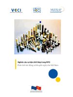 Nghiên cứu vụ kiện chốt thép trong WTO Phân tích tác động và khuyến nghị cho Việt Nam pot