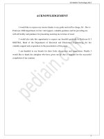 5G Mobile Technology 2013 docx