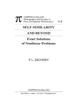 sachdev p.l. self-similarity and beyond.. exact solutions of nonlinear problems 