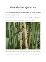 Bài thuốc chữa bệnh từ mía ppt