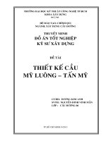 thiết kế cầu mỹ luông - tấn mỹ