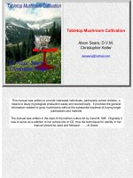 mushrooms. tabletop mushroom cultivation