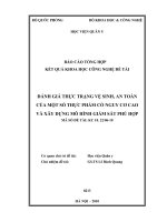 Đánh giá thực trạng vệ sinh, an toàn của một số thực phẩm có nguy cơ cao và xây dựng mô hình giám sát phù hợp