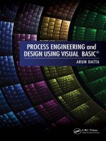 process engineering and design using visual basic