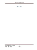 Kế toán nguyên vật liệu tại công ty TNHH thương mại đình sơn