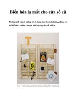 Biến hóa lạ mắt cho cửa sổ cũ pptx