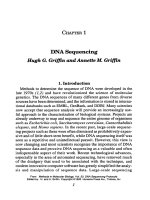 dna sequencing protocols