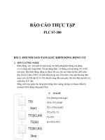 Báo Cáo Thực Tập PLC