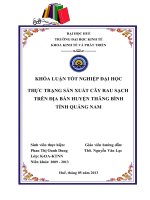Thực trạng sản xuất cây rau sạch trên địa bàn Huyện Thăng Bình - Tỉnh Quảng Nam