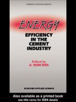 energy efficiency in the cement industry