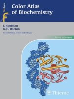 color atlas of biochemistry 2d ed - jan koolman, klaus-heinrich rohm