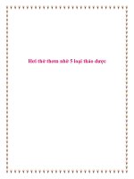 Hơi thở thơm nhờ 5 loại thảo dược pot