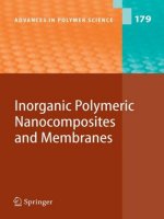 inorganic polymeric nanocomposites and membranes (advances in polymer science) (advances in polymer science)