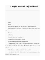 Thuyết minh về một loài chó pot