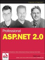 professional asp.net 2.0